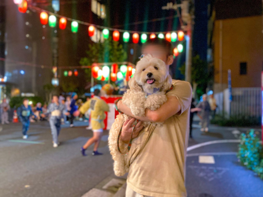 盆踊り参加する犬