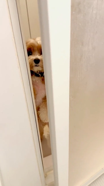 おすすめ