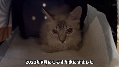 2022年9月