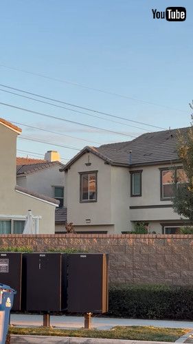 「Neighbor's Nosy Dog Jumps to See Over Wall || ViralHog」