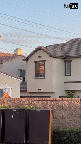 「Neighbor's Nosy Dog Jumps to See Over Wall || ViralHog」