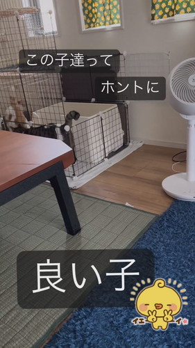 「この子達ってホントに良い子」