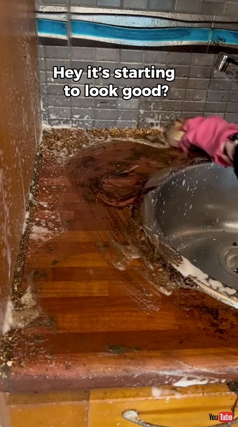 クリーニング 廃墟 掃除