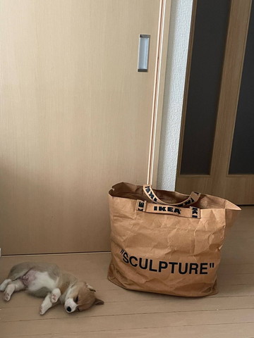 袋に背中向けて寝る子犬