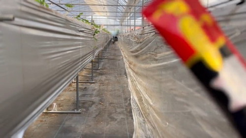 ちゅ〜るに気付く猫