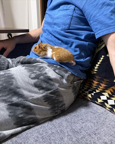 ハムスターが長く遊んでいるなと思ったら