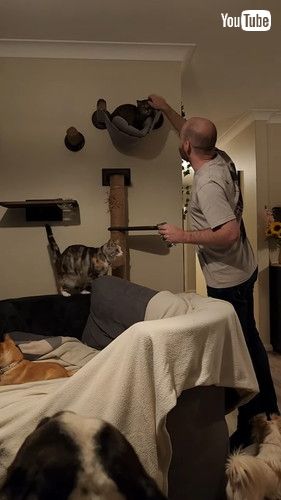 ペット・ザ・ウィーク