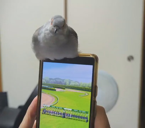 ゲームのお供にべるくん