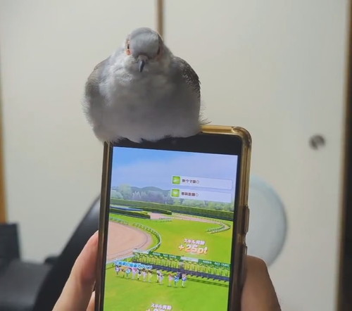 ゲームのお供にべるくん