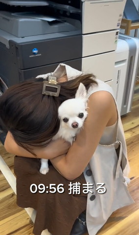 捕まるテロップ