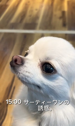 サーティーワンの誘惑