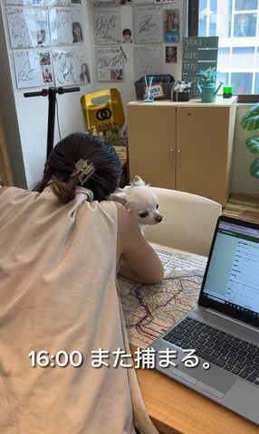 また捕まるテロップ