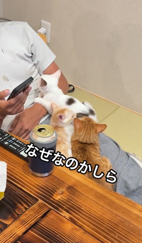 なぜなのかしら