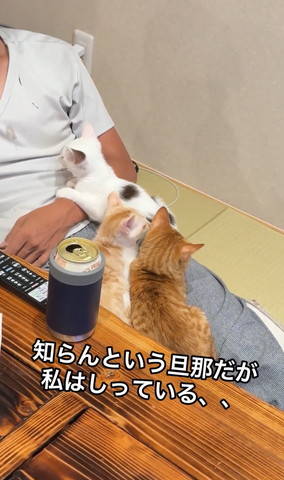 水筒の隣にインコ遠め