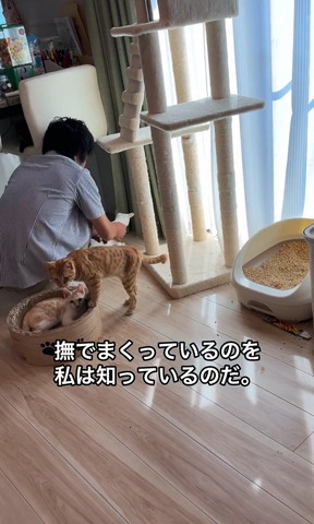 名でまくっているのを私は知ってる