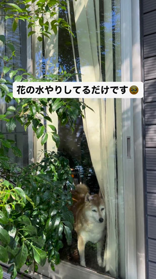 視線をそらすハルちゃん