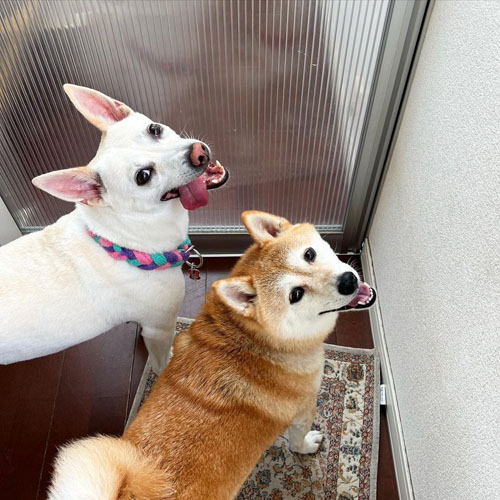 笑顔のすずちゃんとハルちゃん