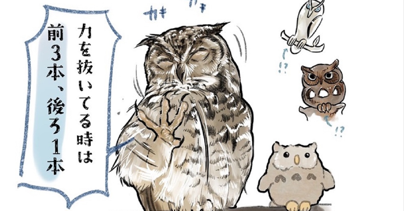 フクロウの足は状況によって形が変わる!? ギャップだらけの生態