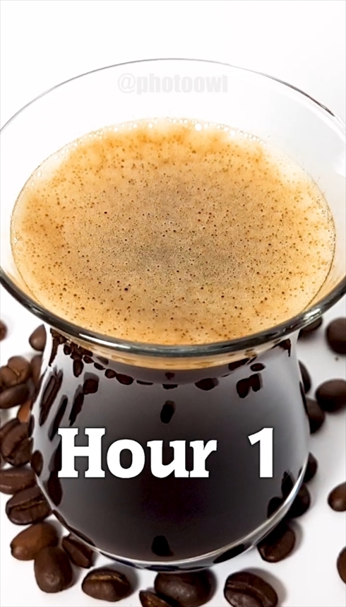 コーヒー　タイムラプス