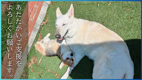 クラファン概要