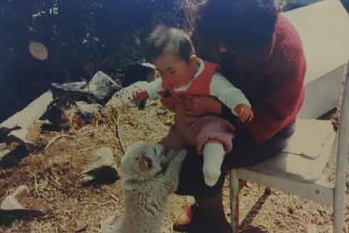 クラファン概要