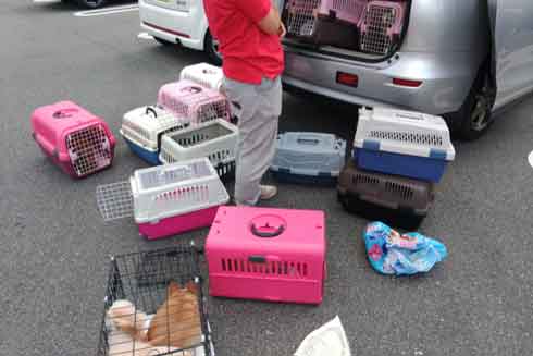 繁殖場レスキュー