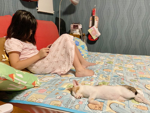 大好きなおねえちゃんのそばで