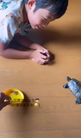 ひじついてるお兄ちゃんとカメ