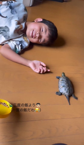 笑顔で寝転ぶ息子さんと左前足あげるカメ