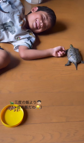カメと握手するお兄ちゃん