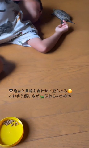 寝転がってカメを見るお兄ちゃんあごあたりの写真