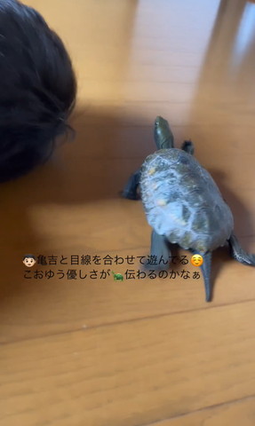 歩いてる亀アップ