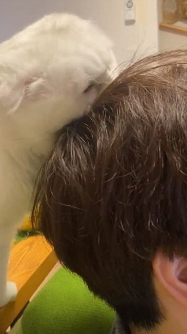 猫 大根おろし むく君