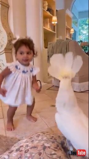 仲良くダンスする女の子とオウム