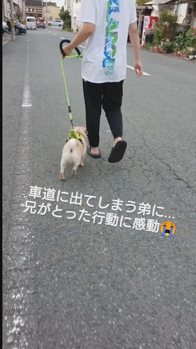 「車道に出てしまう弟に…」