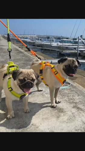 たまごくんとおもちくん