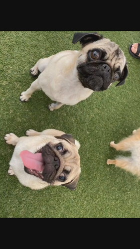 たまごくんとおもちくん