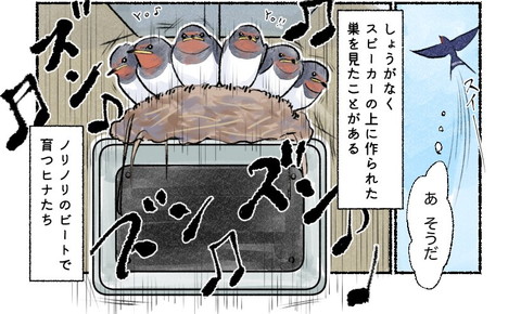 しょうがなくスピーカーの上に