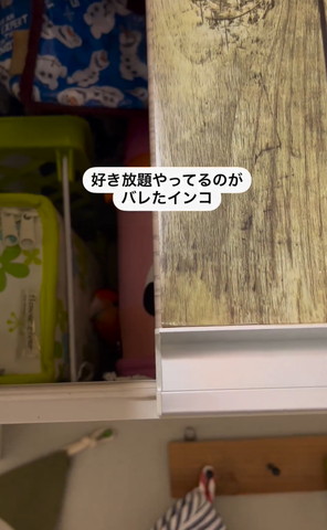 かすかに見えるインコ