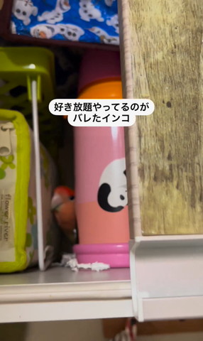 水筒の隣にインコ遠めぶれてる