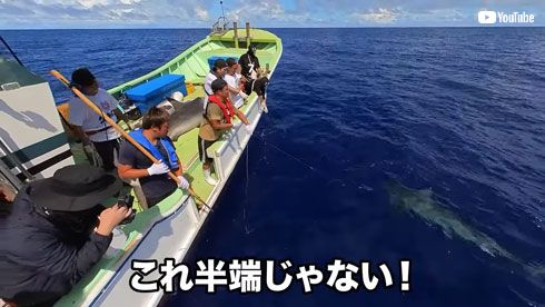 サメを釣る江頭2:50