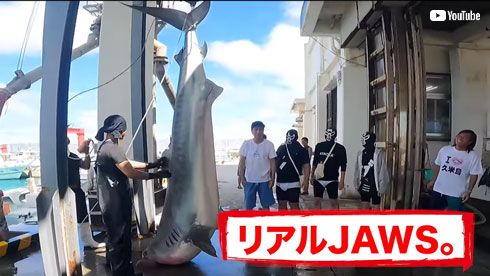 サメを釣る江頭2:50