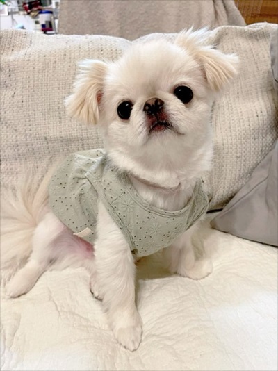 むぎちゃん正面