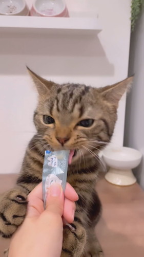 おやつの順番待ち