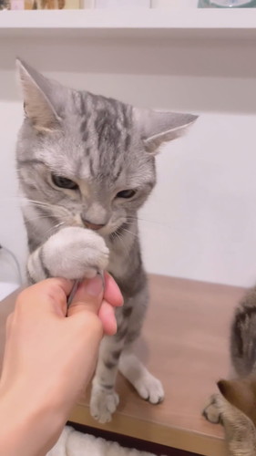 おやつの順番待ち