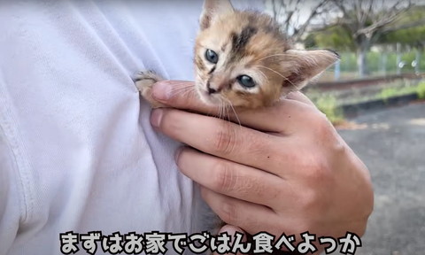 まずはお家でごはんを