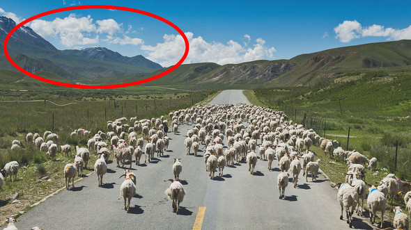 アフロ　アハ体験クイズ　ねとらぼ