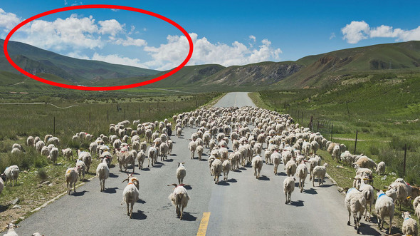 アフロ　アハ体験クイズ　ねとらぼ