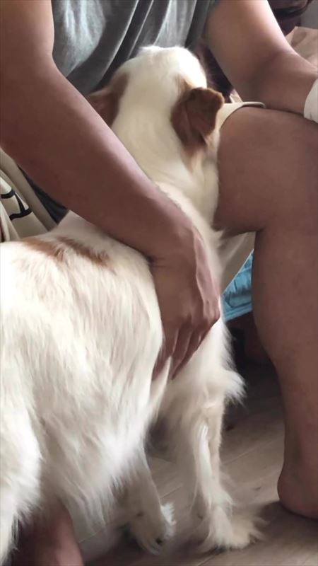 パパを心配するやさしいワンコ