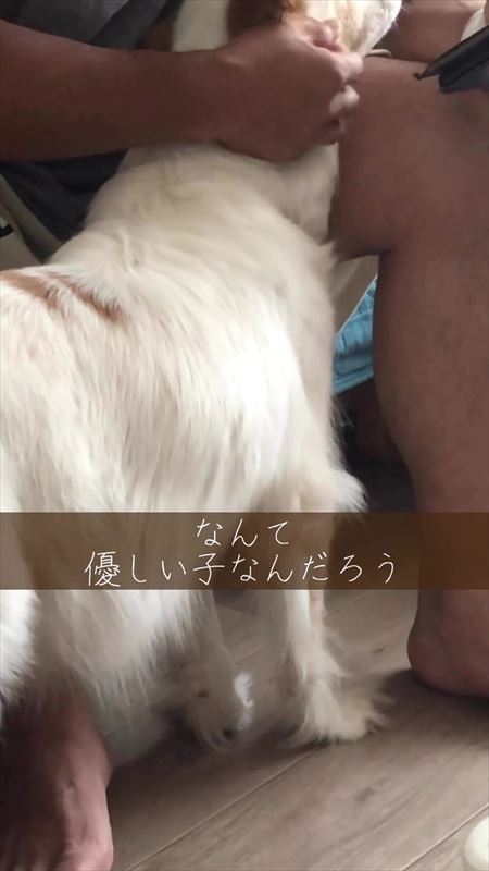 パパを心配するやさしいワンコ